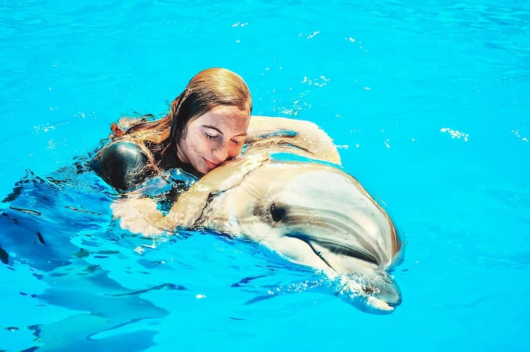 Dolphins Bay Phuket
